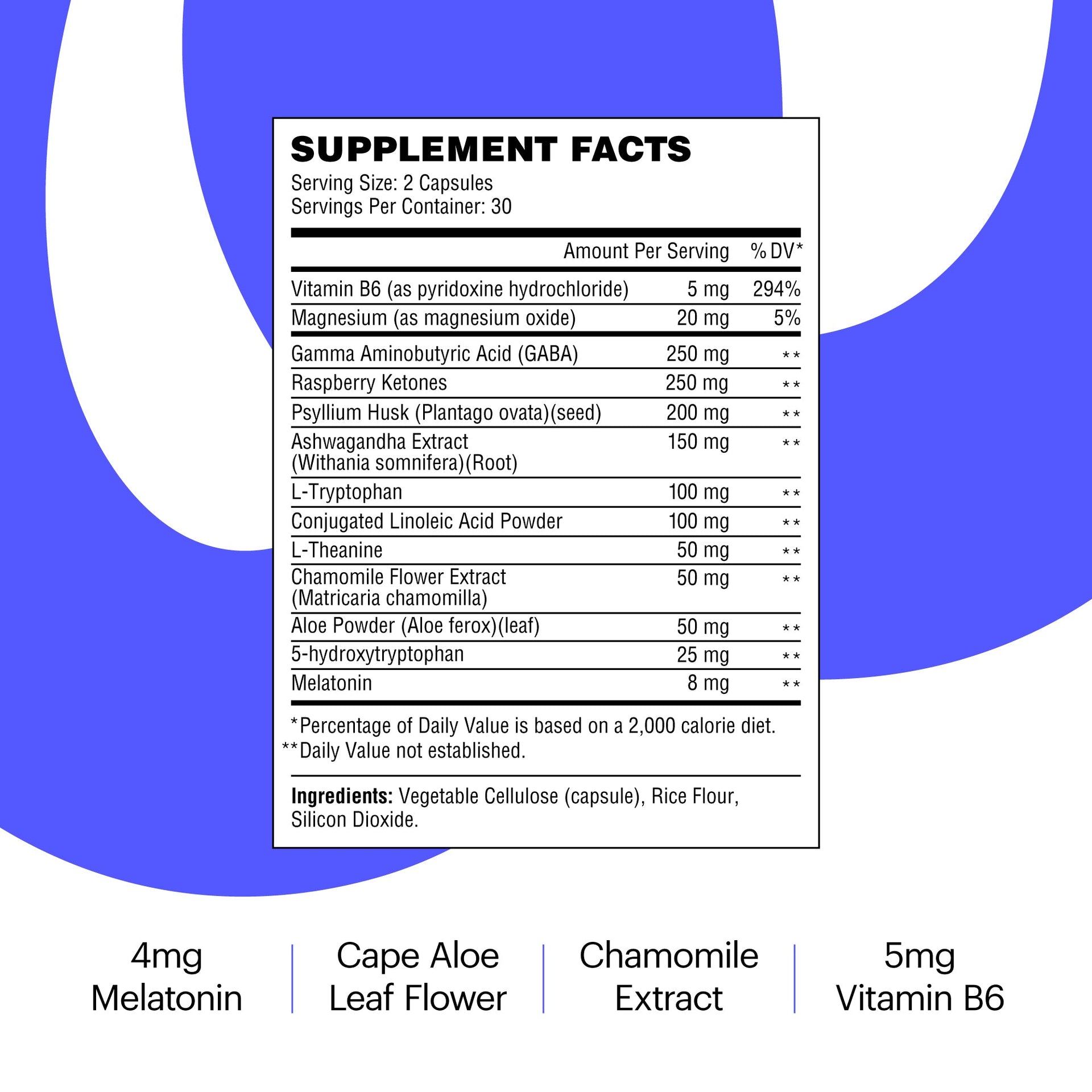 30 Day Detox & Fat Burning Kit Supplements Wellthy Nutraceuticals 