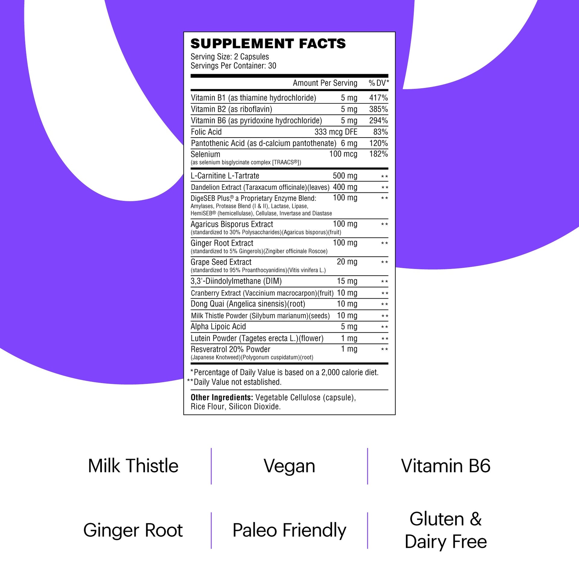 30 Day Detox & Fat Burning Kit Supplements Wellthy Nutraceuticals 