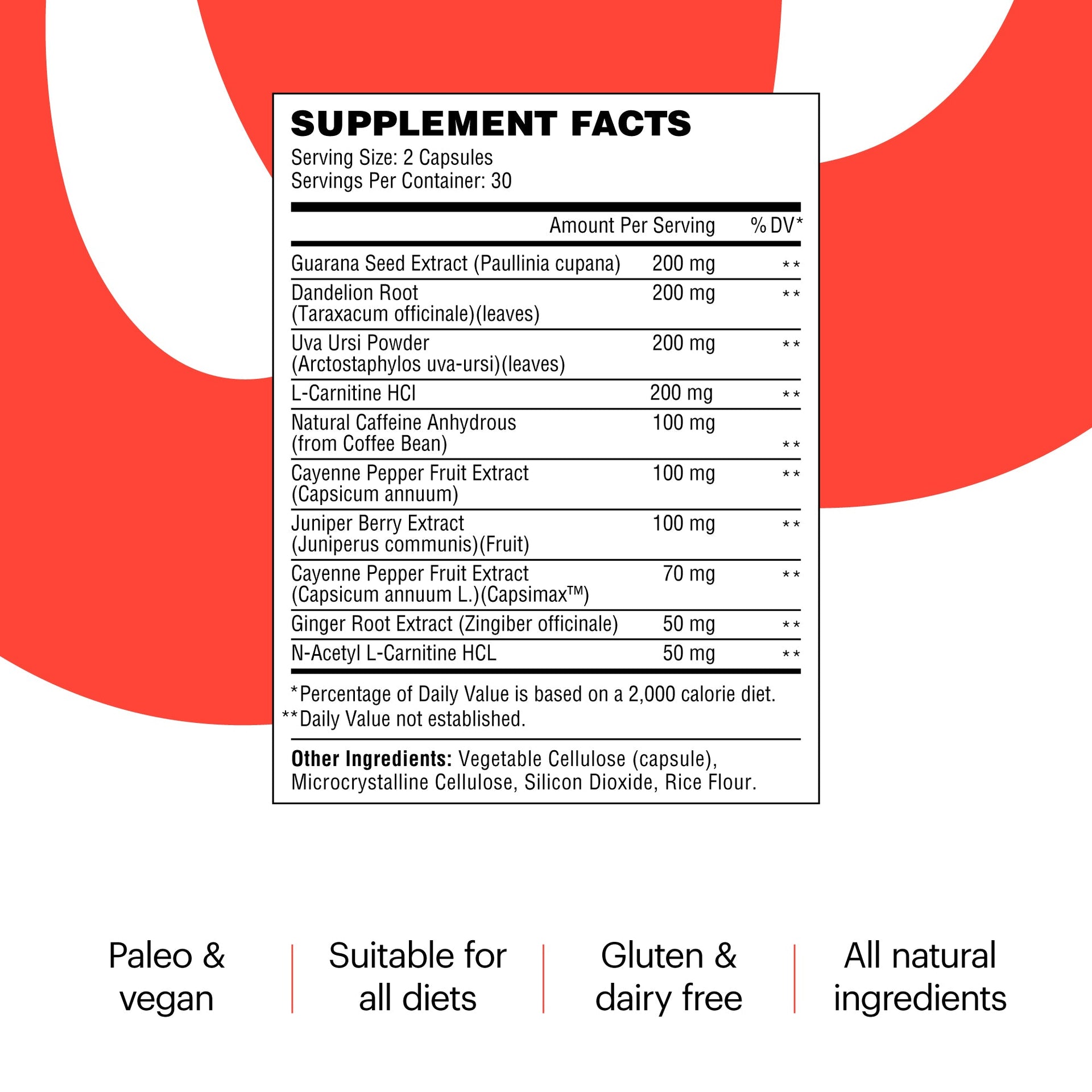 30 Day Detox & Fat Burning Kit Supplements Wellthy Nutraceuticals 